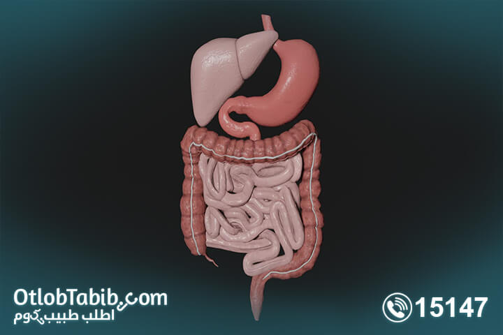 أمراض-الجهاز-الهضمي