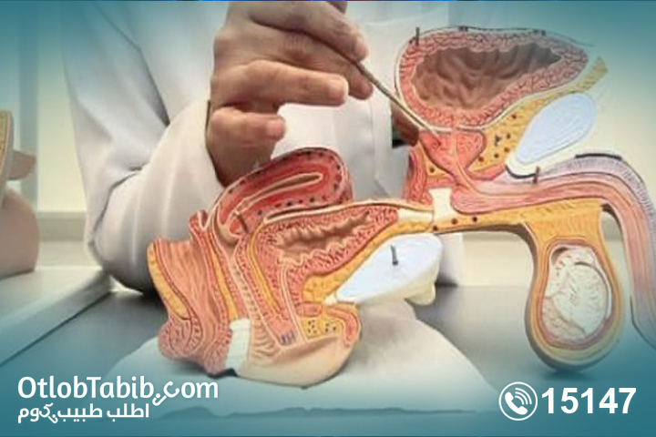 طرق-علاج-التهاب-المثانة