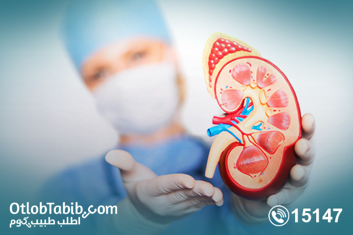 The kidney stops? Learn about kidney failure and its causes 