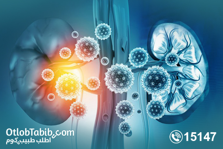 What is renal therapy? Learn about alternatives and remedies