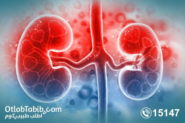 How does lupus affect the kidneys? Learn about lupus nephritis