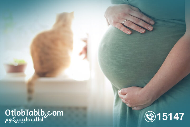 Do cats cause infertility? Know more about toxoplasmosis