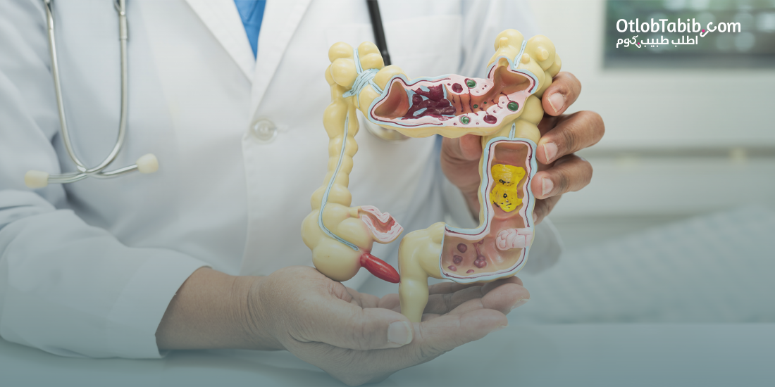 Digestive System: How It Works and How to Keep It Healthy?