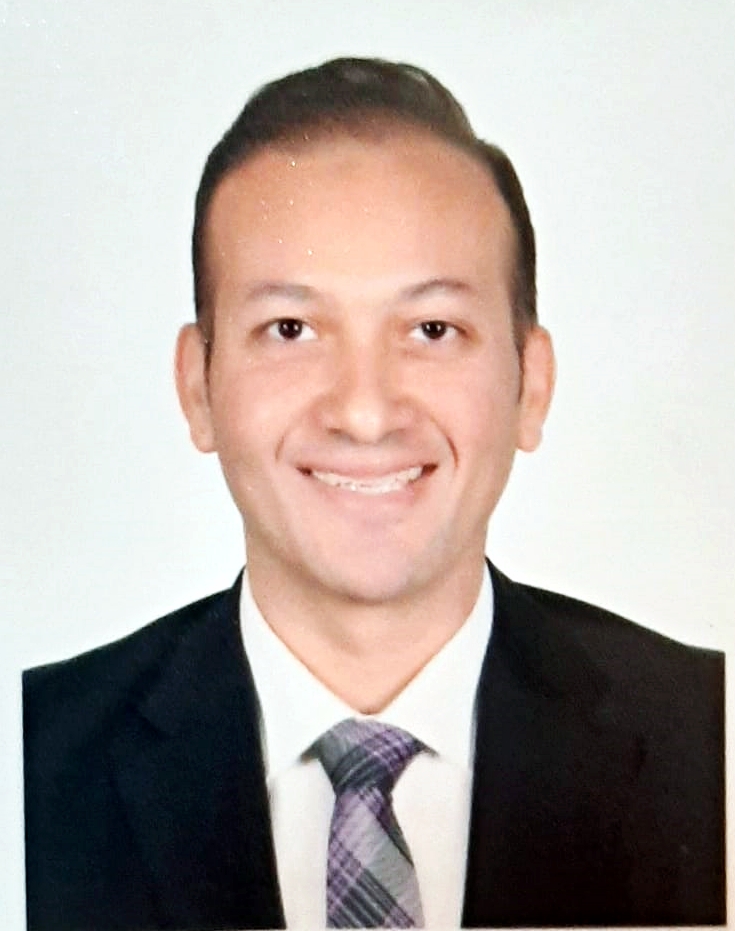 Walid Abdelwahab AbdelWahab